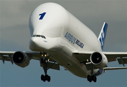 airbus-beluga1.jpg.500×4001.jpg
