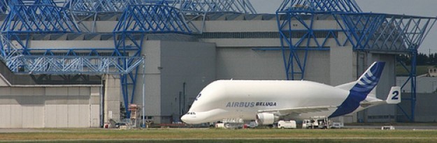 cropped-157317957_8e96ea8c9c.jpg